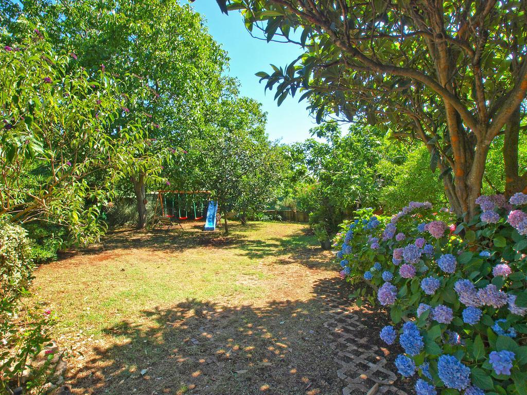 Apartments Vlasta 1410 Premantura Dış mekan fotoğraf
